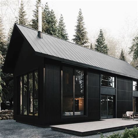 black metal house|black siding on a house.